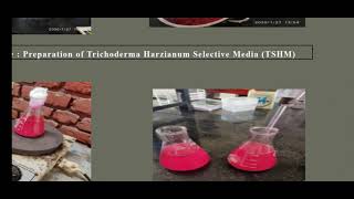 Production Technology of Biocontrol Agent  Trichoderma spp [upl. by Olathe]