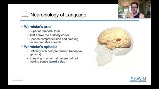 Chapter 7 Neurobiology of language and lateralization [upl. by Neilson663]