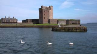 Swans Broughty Castle Broughty Ferry Dundee Scotland [upl. by Nnarefinnej478]