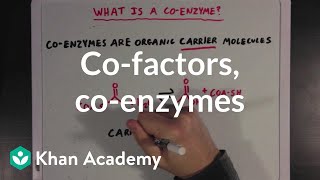 Cofactors coenzymes and vitamins  MCAT  Khan Academy [upl. by Laurita]