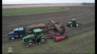 Colorado Sugar Beet Harvest  2022 [upl. by Sylvanus]