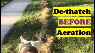 Why to DeThatch for Better Aeration Results with Grass Seed  Overseeding LAWN CARE [upl. by Danika]