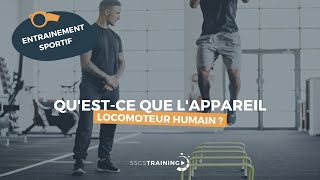 Questce que lappareil locomoteur humain [upl. by Devina606]