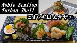 【ふるさと納税返礼品1】ヒオウギ貝＆サザエ刺身とつぼ焼き【Hometown tax donation program】 Sashimi of Noble scallop amp Turban shell [upl. by Andri727]