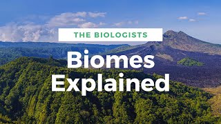 BIOMES explained [upl. by Arch]