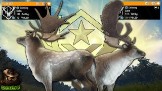 We Got 2 Great One Fallow Deer In Under 800 Kills Plus A Great One Fallow Guide Call of the wild [upl. by Alletsirhc]