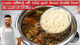 උයන්න කම්මැලිනම් මෙන්න නියම විසදුම  Delicious Rice in Rice Cooker  Easy Rice Recipe [upl. by Eardna]