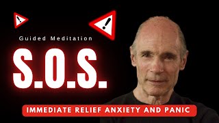 Emotional Regulation Tool Panic Attack Meditation Avoid Overwhelm  Get back to Stillness [upl. by Kurtz924]