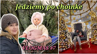 VLOGMAS 7  JEDZIEMY PO CHOINKE  Żywa choinka viral mama funnykid [upl. by Ellehcil]