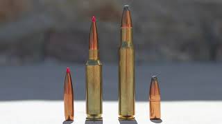 65 Creedmoor vs 3006 Springfield A Detailed Comparison amp Analysis [upl. by Enyala643]