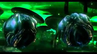 Infected Mushroom  The messenger 2012 Official video [upl. by Burkitt110]