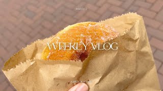 Living Alone Diaries weekly vlog 📸 homecooking 🥘 doughnuts 🍩 [upl. by Ardnuek]