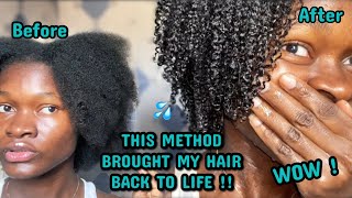 THIS METHOD BROUGHT MY HAIR BACK TO LIFE  I tried the MAXIMUM HYDRATION METHOD and I’m speechless [upl. by Oivatco]