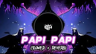 papi papi remix arabic song slowed  reverb  bass  boosted🎶🎧 [upl. by Berta270]