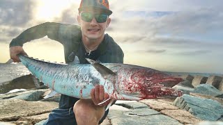 Catching GIANT Kingfish and Jack Crevalle from Jetties [upl. by Alva]