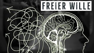 Freier Wille amp Determinismus – Warum ich das Problem nicht verstehe [upl. by Ecahc405]