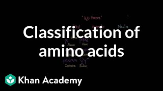 Classification of amino acids  Chemical processes  MCAT  Khan Academy [upl. by Wren]