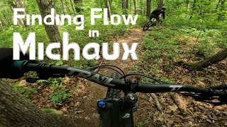 Michaux State Forest MTB  VistaDouble PFlowHookThrottle [upl. by Eycats945]