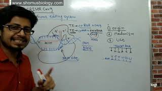 CRISPR gene editing  what is it [upl. by Keli]