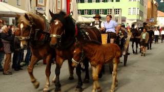 Norikerschau Lienz 2014 [upl. by Lecirg]