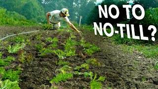 If NoTill is So Great Why Isnt Everyone Doing it [upl. by Jasper968]