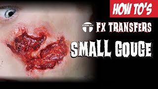 Tinsley Transfers 3D FX Transfers SMALL GOUGE Application [upl. by Bettzel]