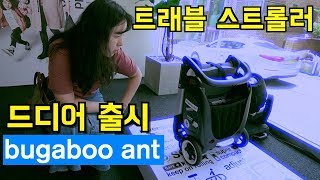 부가부 앤트 트래블 스트롤러 런칭파티 l bugaboo ant 여행다닐때 휴대용 유모차 l 생활모험가부부 [upl. by Geesey]