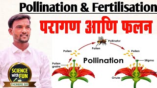 POLLINATION AND FERTILISATION Agent of pollinationtwo modes of pollination [upl. by Royall359]