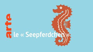 le « Seepferdchen »  Karambolage  ARTE [upl. by Twum955]