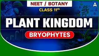 𝐏𝐋𝐀𝐍𝐓 𝐊𝐈𝐍𝐆𝐃𝐎𝐌 𝐂𝐋𝐀𝐒𝐒 𝟏𝟏  BOTANY BRYOPHYTES  NEET SANJEEVANI BATCH  BOTANY BY SANKALP BHARAT [upl. by Hsevahb17]