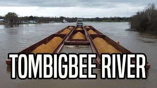 Pushboats on the Tombigbee River near Demopolis  019 [upl. by Leiad]