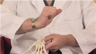 Hand amp Foot Pain  Easy Strengthening Exercises for Carpal Tunnel [upl. by Eniamirt]