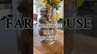 TREAT YOUR PUPS homemade recipe dog doglover homestead farm diy dogtreats [upl. by Lorrie]