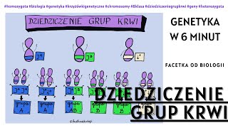 Dziedziczenie grup krwi  Genetyka  Jak robić Krzyżówki Genetyczne  Biologia 8 Klasa  Film edu [upl. by Adiraf]