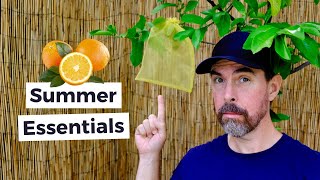 7 SUMMER CITRUS TIPS YOU SHOULD KNOW [upl. by Cranford434]