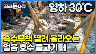 아주 단순한 원리로 한 번에 수 천마리 물고기를 잡는 방법┃말로는 설명할 수 없는 영하 30℃ 얼음 호수의 어부들┃거대한 얼음대륙 중국 차간호의 고기잡이 ┃극한직업┃골라듄다큐 [upl. by Nnarual]