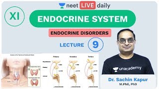 Endocrine System  L9  Endocrine Disorder  Unacademy NEET  LIVE DAILY  NEET Biology  Sachin Sir [upl. by Enylorac]