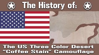 The History of The US Militarys Three Color Desert Camouflage Pattern  Uniform History [upl. by Donadee95]