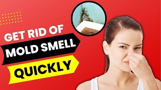 How To Get Rid Of Mold Smell Quickly Easy Natural Methods [upl. by Joby687]