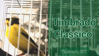 Timbrado Español Classico Original 2238 [upl. by Kare970]