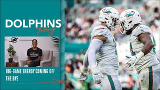 Week 15 Preview  Dolphins Today [upl. by Stultz]