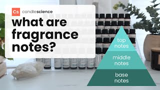 What are Fragrance Notes  Learn how to describe scents using fragrance notes [upl. by Newel970]