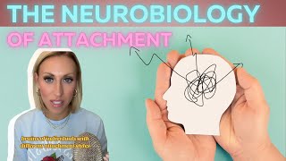 The neurobiology of attachment [upl. by Aicenra]