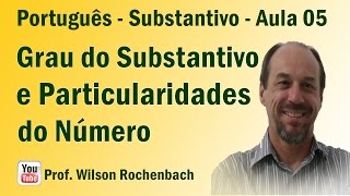 Substantivo  Particularidades do Número e Grau  Aula 05 [upl. by Surbeck210]