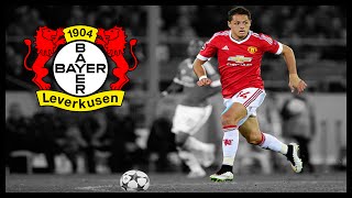 Javier Chicharito Hernandez ● Welcome to Bayer Leverkusen  Goalsskills amp Assists  2015 [upl. by Htebsil]