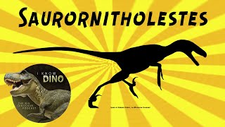 Saurornitholestes Dinosaur of the Day [upl. by Rosemare60]