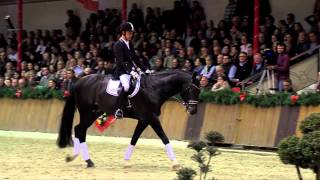 Kardinal  Sosath Stallion Show 2014 [upl. by Rebmeced810]