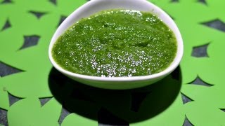 Mint Chutney  Gurus Cooking [upl. by Porter]