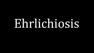 How to pronounce Ehrlichiosis [upl. by Negam]