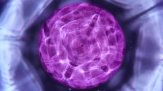 Impinged Nerve Cymatics [upl. by Annemarie733]